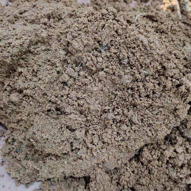 處理后的污泥 處理后的污泥