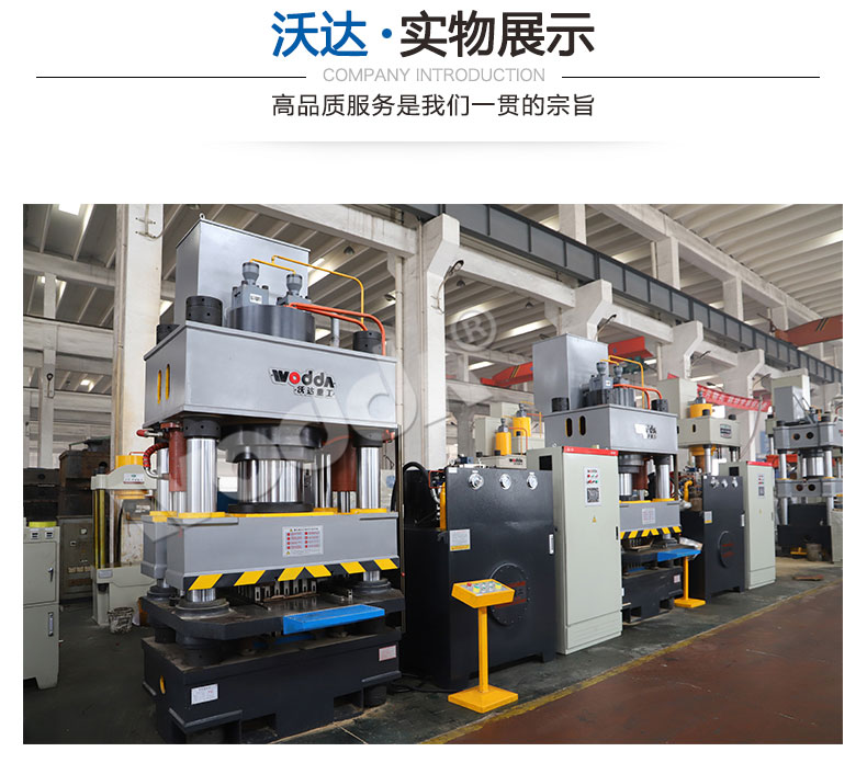 魚餌壓塊成型液壓機(jī) 魚餌壓塊成型液壓機(jī)